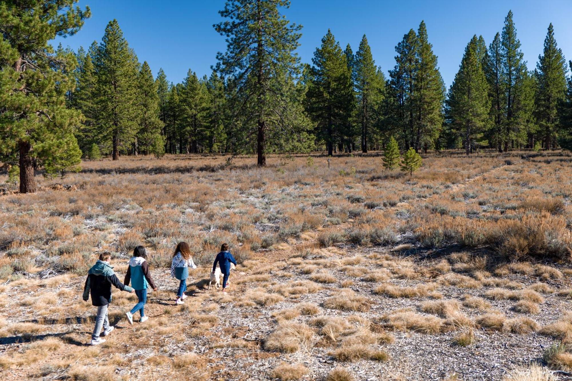 The Cottages - Golf, Pool, Play - 3-Bedroom Truckee Extérieur photo